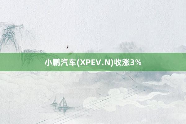 小鹏汽车(XPEV.N)收涨3%