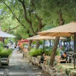 中山市西区街道