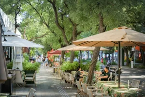 中山市西区街道