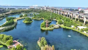 芜湖朱家桥尾水净化生态公园