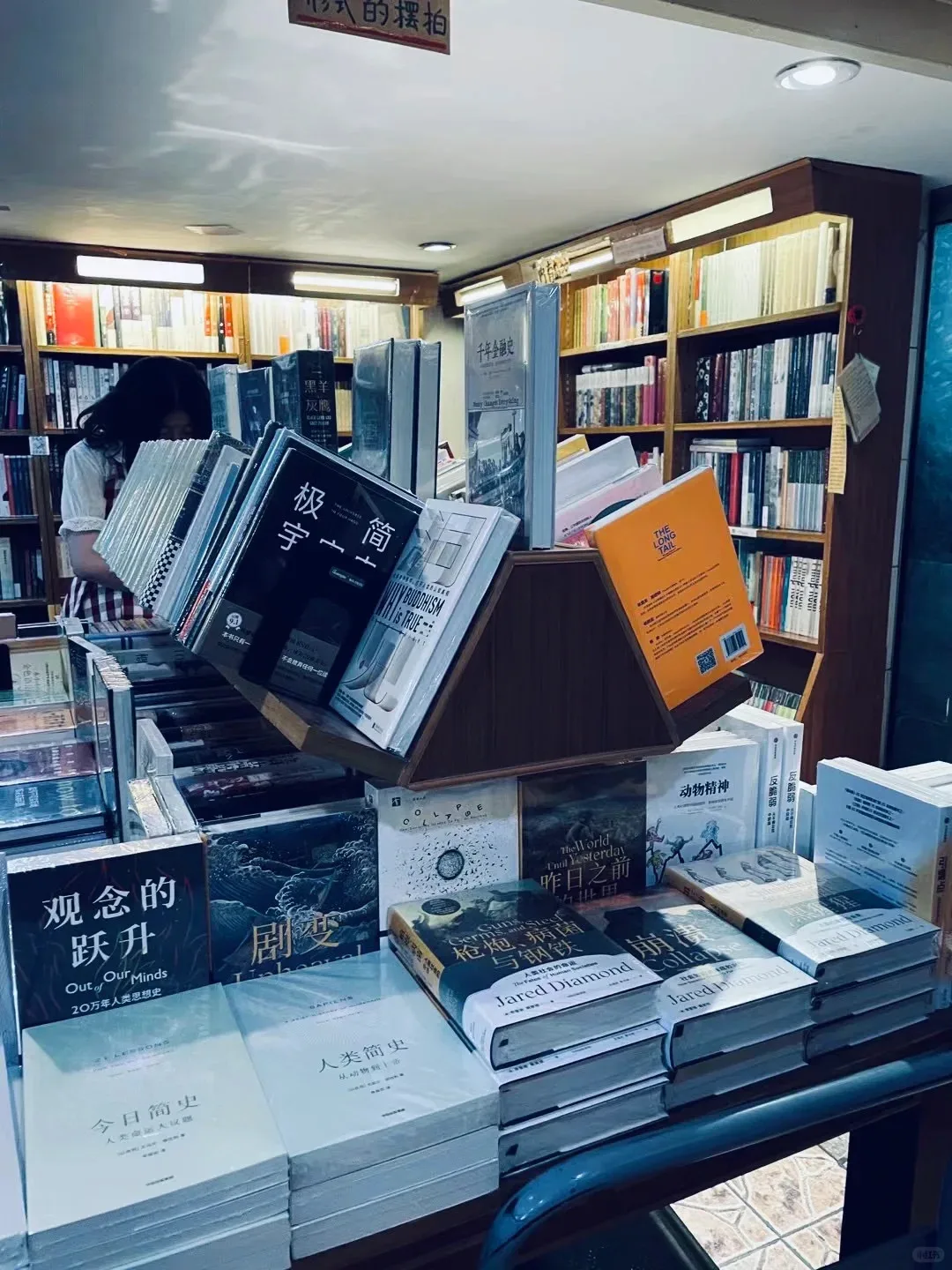 烧不死的鸟是凤凰 12个步骤带你重塑职业和生活
