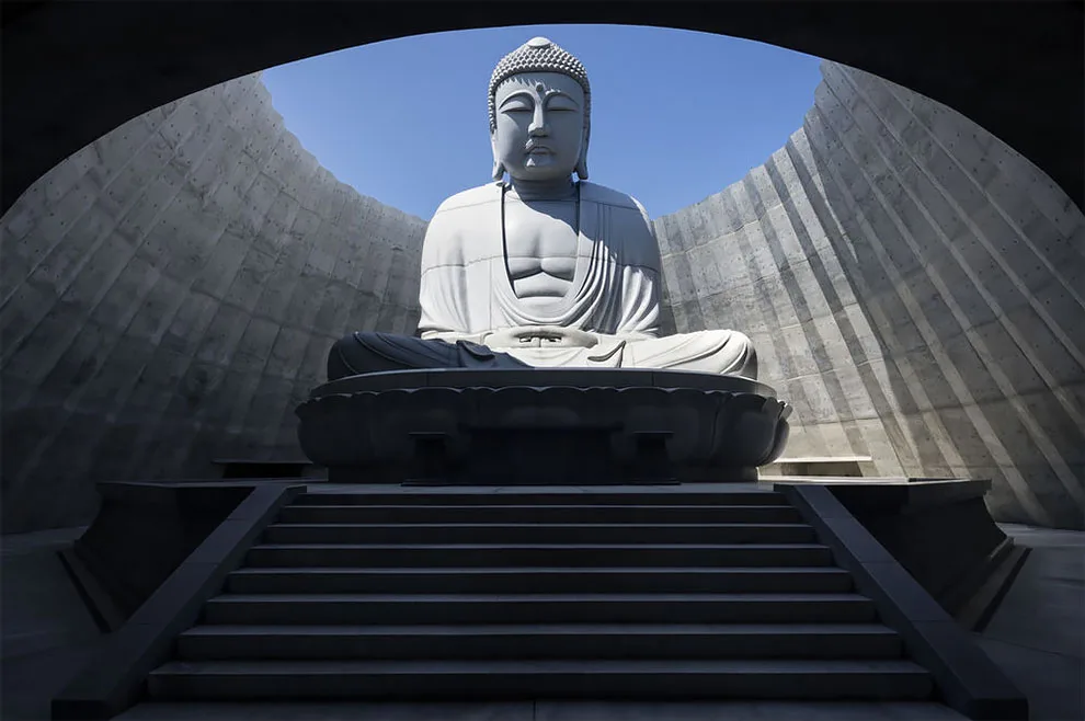画廊 | 安藤忠雄 薰衣草山丘中的大佛殿堂
